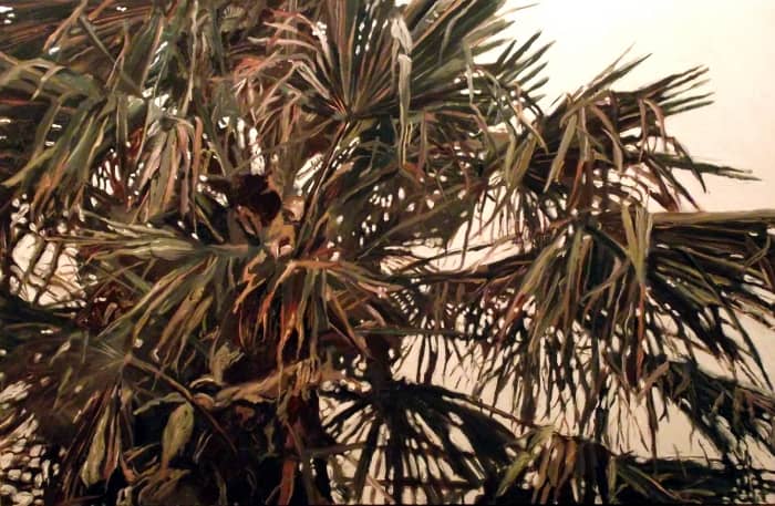 Peinture en couleur de palmier.