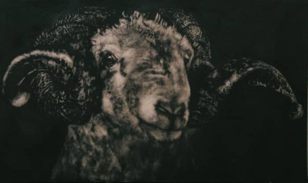 Peinture de bélier.