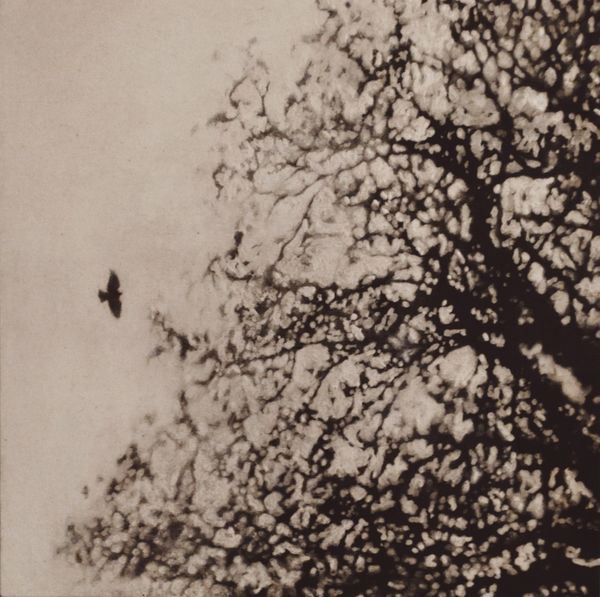 peinture noir et blanc