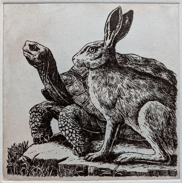 lievre tortue gravure