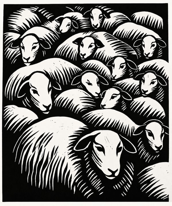 lino moutons
