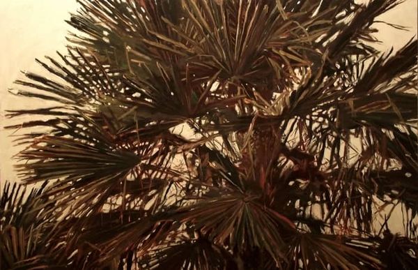 Peinture en couleur de palmier.