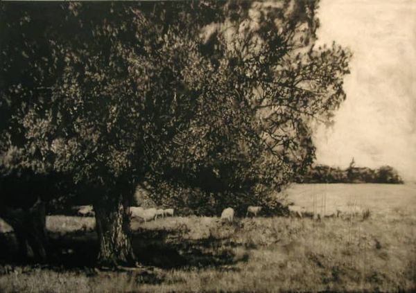 Paysage en noir et blanc.