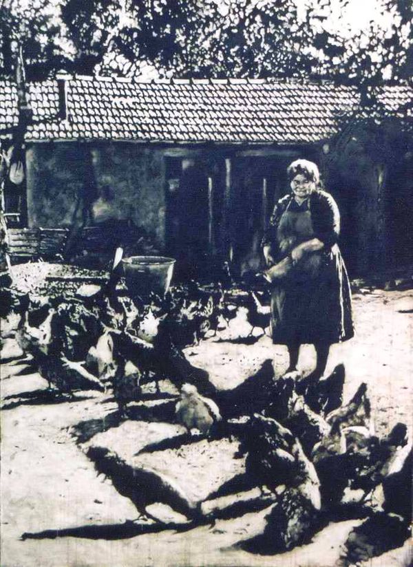 Peinture de paysanne avec des poules.
