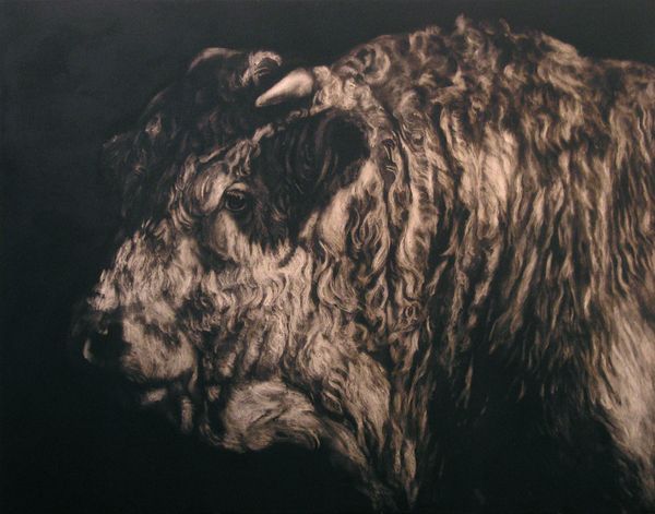 Peinture de taureau en noir et blanc