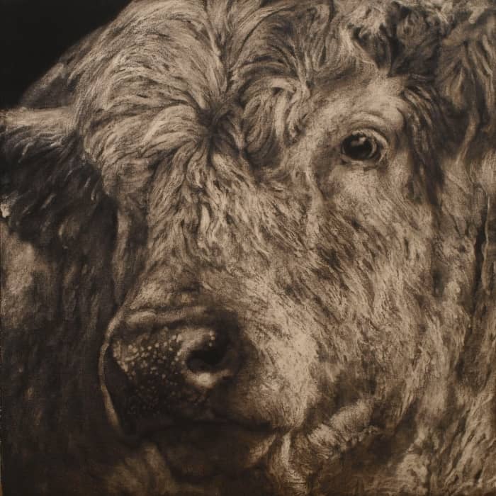 Peinture de taureau en noir et blanc