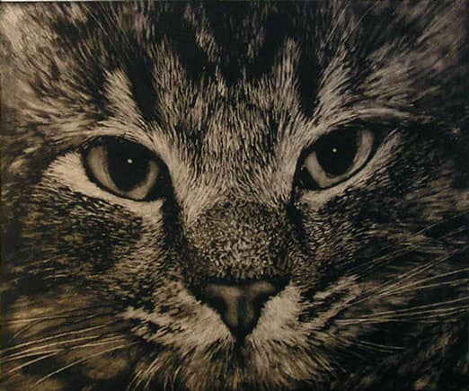 Portrait de chat en noir et blanc.