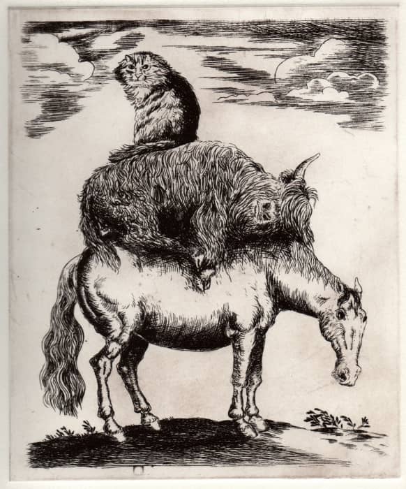 Gravure d'un chat sur une vache sur un cheval